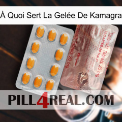 À Quoi Sert La Gelée De Kamagra new13